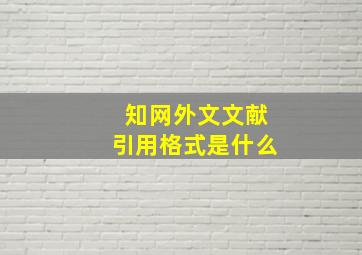 知网外文文献引用格式是什么