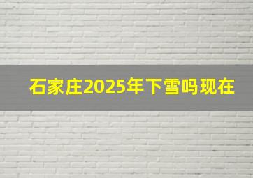 石家庄2025年下雪吗现在