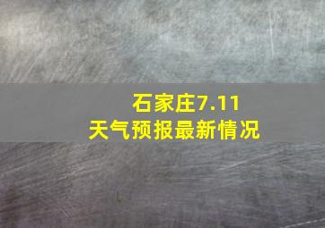 石家庄7.11天气预报最新情况