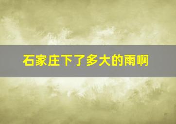 石家庄下了多大的雨啊