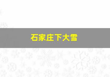 石家庄下大雪