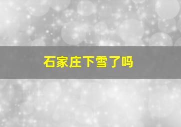 石家庄下雪了吗