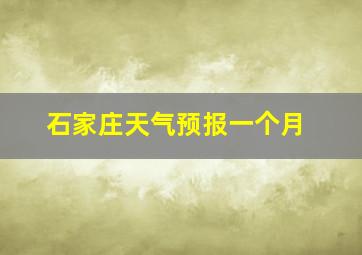 石家庄天气预报一个月