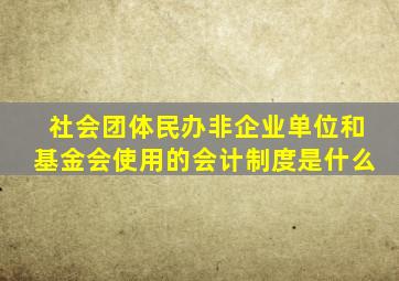 社会团体民办非企业单位和基金会使用的会计制度是什么