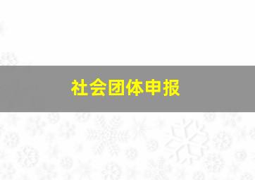 社会团体申报