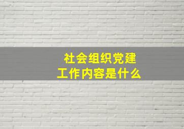 社会组织党建工作内容是什么