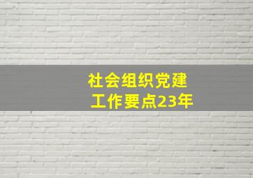 社会组织党建工作要点23年