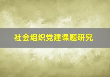 社会组织党建课题研究