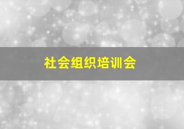 社会组织培训会