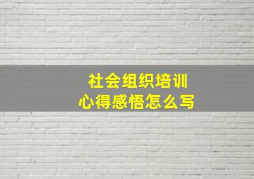 社会组织培训心得感悟怎么写