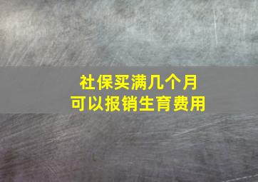 社保买满几个月可以报销生育费用