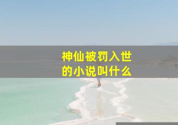 神仙被罚入世的小说叫什么