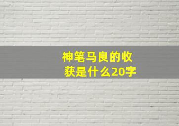 神笔马良的收获是什么20字