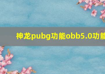 神龙pubg功能obb5.0功能