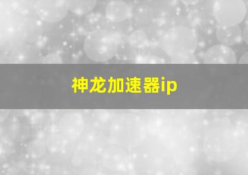 神龙加速器ip