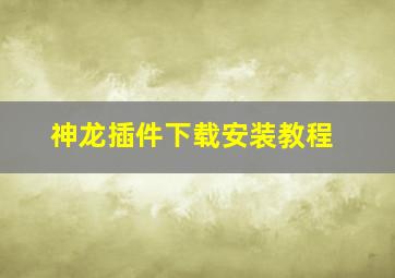 神龙插件下载安装教程