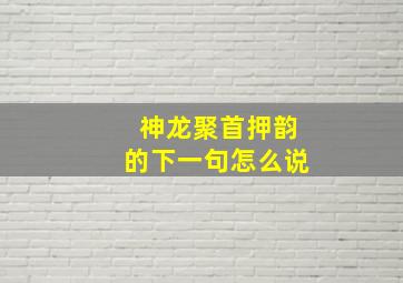 神龙聚首押韵的下一句怎么说