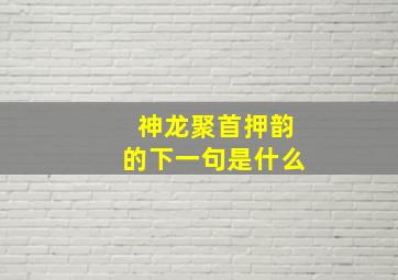 神龙聚首押韵的下一句是什么