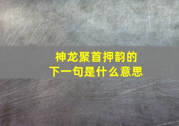 神龙聚首押韵的下一句是什么意思