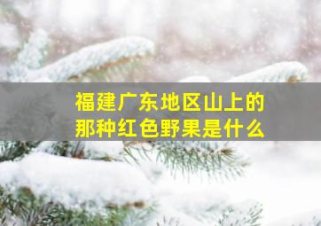 福建广东地区山上的那种红色野果是什么