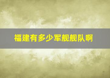 福建有多少军舰舰队啊