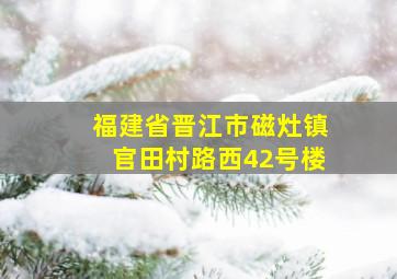 福建省晋江市磁灶镇官田村路西42号楼