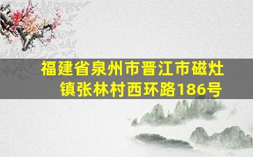 福建省泉州市晋江市磁灶镇张林村西环路186号