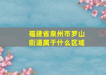 福建省泉州市罗山街道属于什么区域