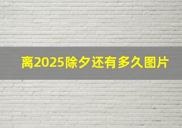 离2025除夕还有多久图片