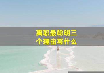 离职最聪明三个理由写什么