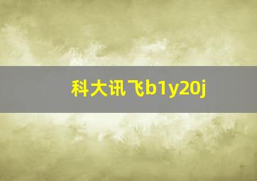 科大讯飞b1y20j