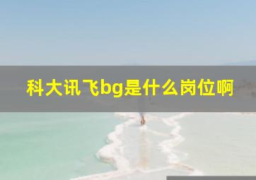 科大讯飞bg是什么岗位啊