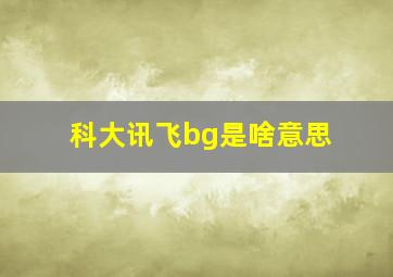 科大讯飞bg是啥意思