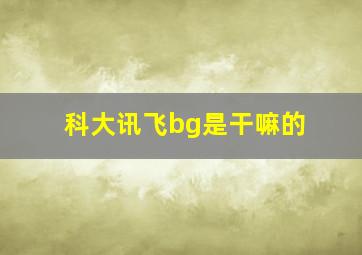 科大讯飞bg是干嘛的