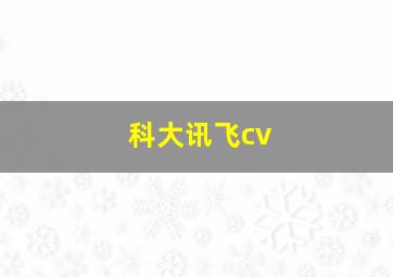 科大讯飞cv