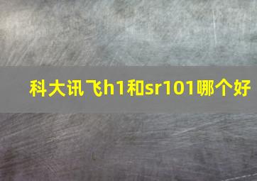 科大讯飞h1和sr101哪个好