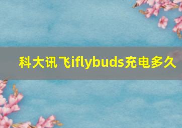 科大讯飞iflybuds充电多久