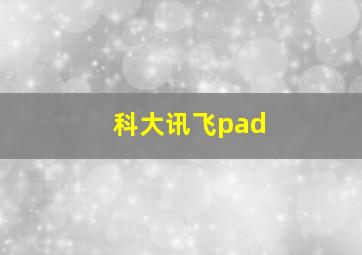 科大讯飞pad