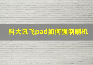 科大讯飞pad如何强制刷机