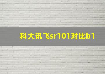 科大讯飞sr101对比b1