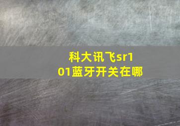 科大讯飞sr101蓝牙开关在哪