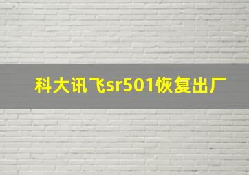 科大讯飞sr501恢复出厂