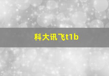 科大讯飞t1b