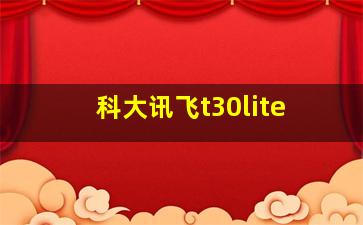 科大讯飞t30lite