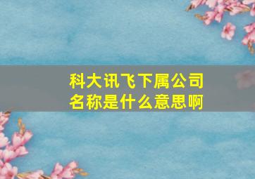 科大讯飞下属公司名称是什么意思啊