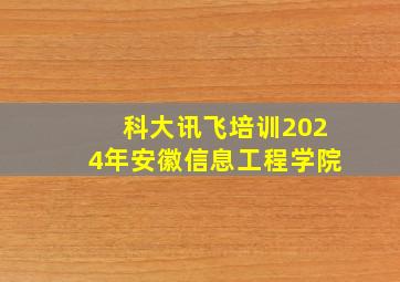 科大讯飞培训2024年安徽信息工程学院