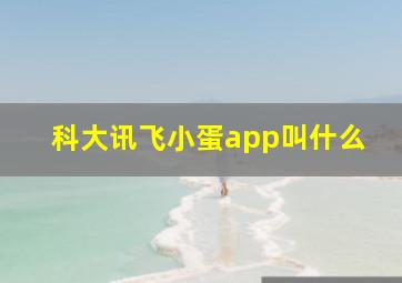 科大讯飞小蛋app叫什么