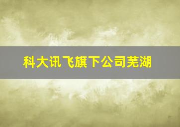 科大讯飞旗下公司芜湖