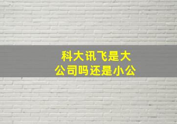 科大讯飞是大公司吗还是小公