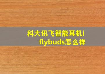 科大讯飞智能耳机iflybuds怎么样